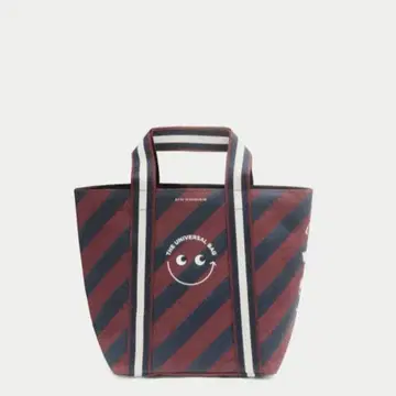 안야 힌드마치 미니 영국 한정판 유니버셜 백