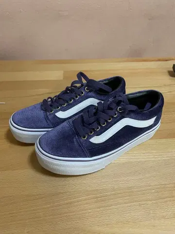VANS 미사용 새상품 23cm 벨로아 통굽