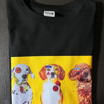 saucy dog 티셔츠 M 사이즈