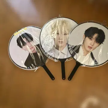 enhypen 부채 정원 선우