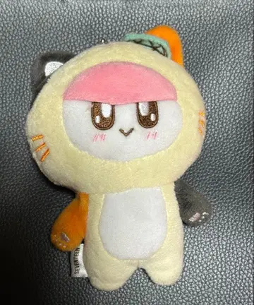 세븐틴 본봉이 고양이 봉제 인형