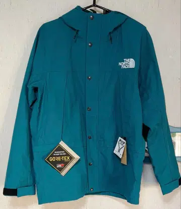 미사용 새상품 THE NORTH FACE GORE-TEX XL