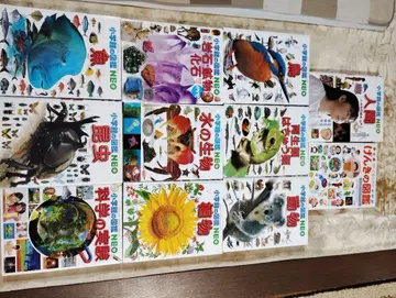 도감 소학관의 neo 11권 세트