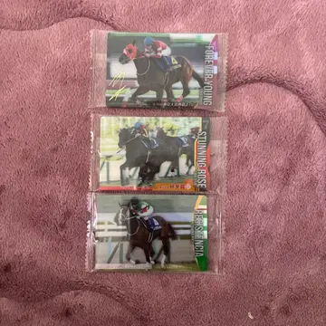 서러브레드 컬렉션 사카이 류세이