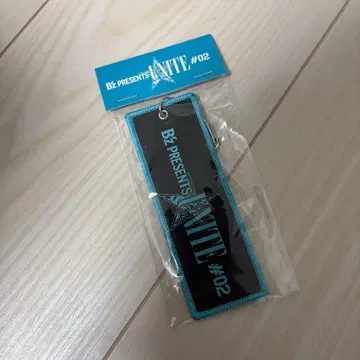 B'z PRESENTS UNITE#02 플라이트 택 블루