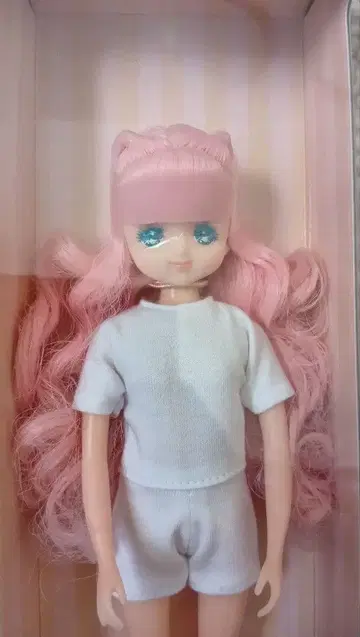 리카짱 캐슬 2025년 퍼니 컬렉션 퍼니 6