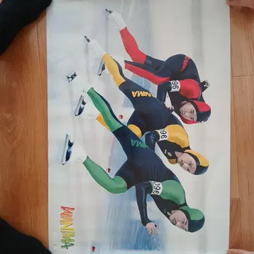 WANNIMA 스피드 스케이트 포스터 씰