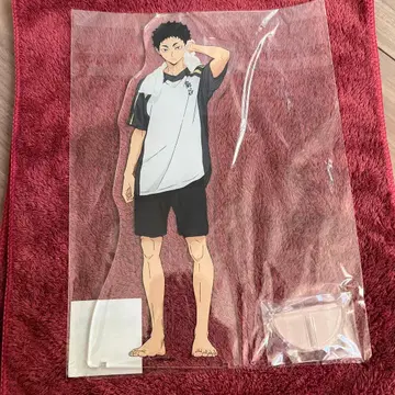 새상품 하이큐 BIG 아크릴 스탠드 목욕탕 ver 아카아시 케이지 극락탕