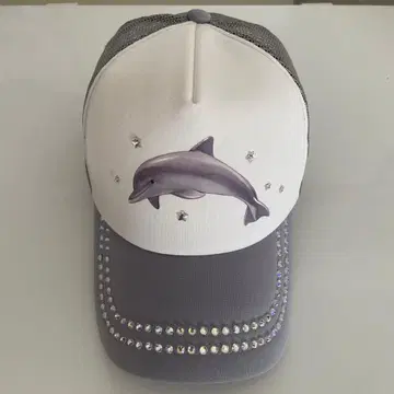 raspberrypie 캡 y2k 스톤 메쉬 캡