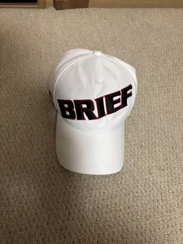 BRIEFING 화이트 캡