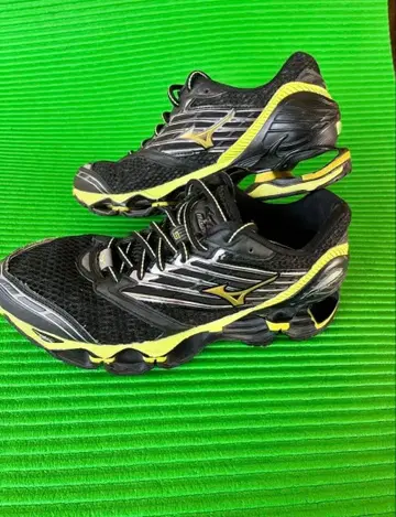 MIZUNO WAVE PROPHECY 25.0cm