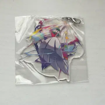 포켓몬 가디안 메가진화 아크릴 키링