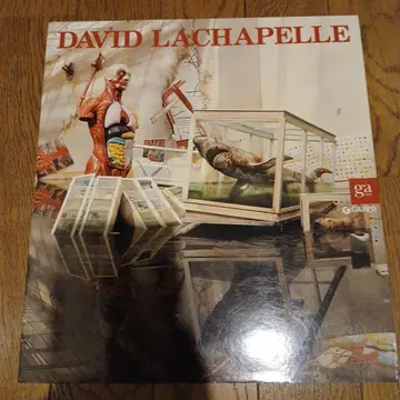 David Lachapelle 아트 작품집