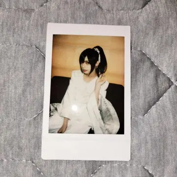 진천지개벽집단 지그재그 폴라로이드