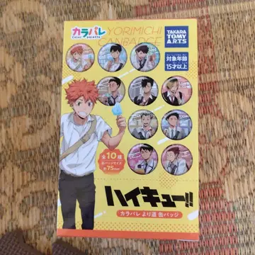 하이큐!! 요리미치 캔뱃지 전 10종 미개봉