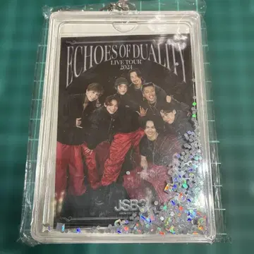 ECHOES OF DUALITY LIVE TOUR 2021 키링