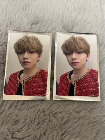 WILDBLUE 미야타케 하야테 홀리 트레이딩 카드