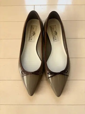 TEMPERATE IRMA 그레이 브라운