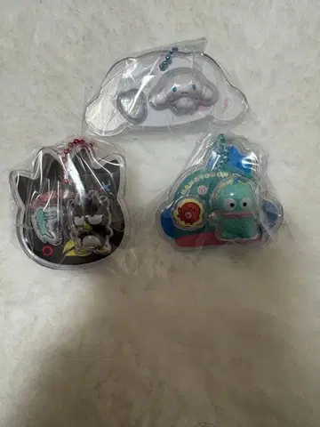 산리오 패키지 참 바츠마루 한교동 시나모롤