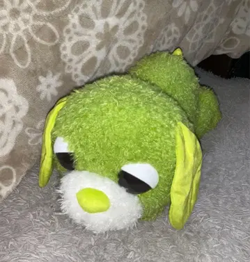 마지막 1개 오차이누 누워있는 L 봉제 인형 '료쿠'