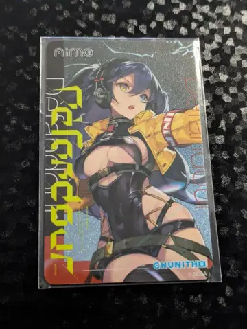 CHUNITHM Aime 카드