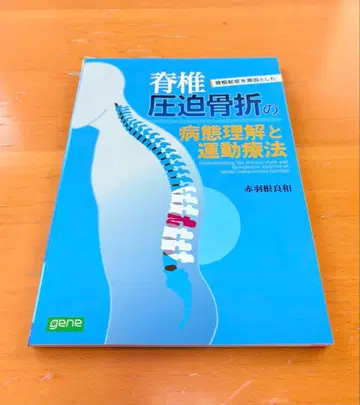 골다공증을 원인으로 한 척추 압박 골절의 병태 이해와 운동 요법