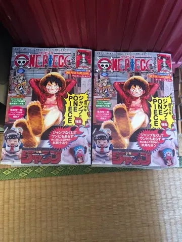 ONE PIECE 특집호 제20호 카드 없음