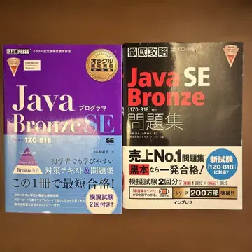 Java Bronze SE 참고서 문제집