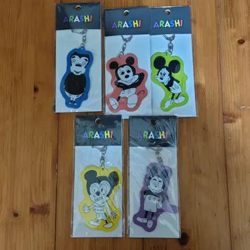 아라시 디즈니 콜라보 아크릴 키링 5세트