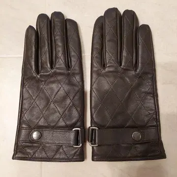 장갑 남성 다케오 키쿠치 미사용품 브라운 24cm