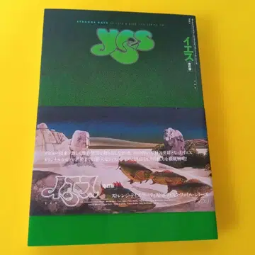 예스 스트레인지 데이즈