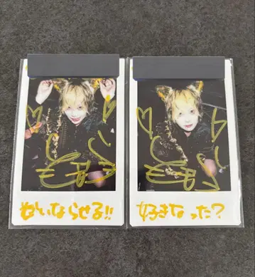 마도메도 원숭이 말 호랑이 폴라로이드 사인 있음 사 있음