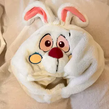 화이트 토끼 팬갭