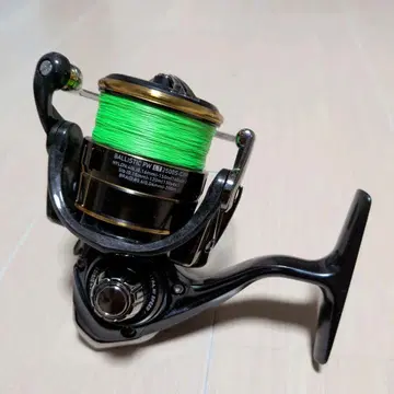 다이와 19 발리스틱 FW LT 2500S-CXH DAIWA