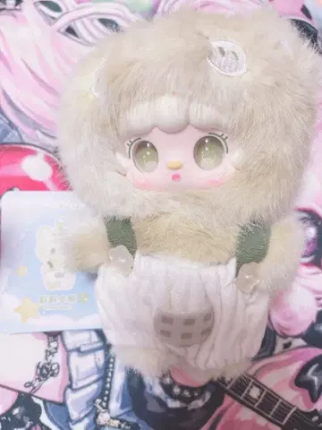 yook 요키 겨울잠 계획 시크릿