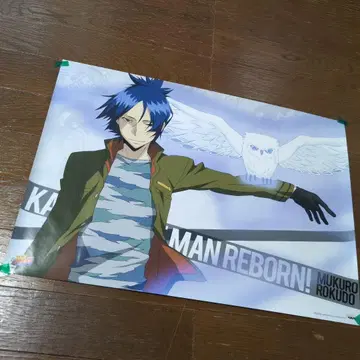 가정교사 히트맨 REBORN 리미티드 포스터 로쿠도 무쿠로 포스터