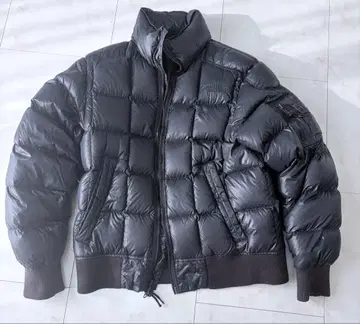 THE NORTH FACE 다운 자켓