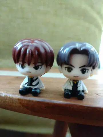 ENHYPEN 빗쿠라타마고 정원&선우