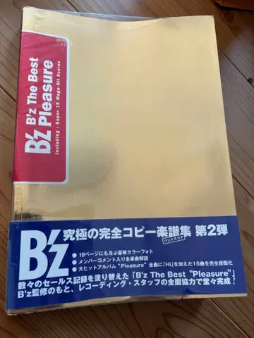 B'z the best pleasure 밴드 스코어