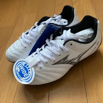 미즈노 모나르시다 스파이크 21cm