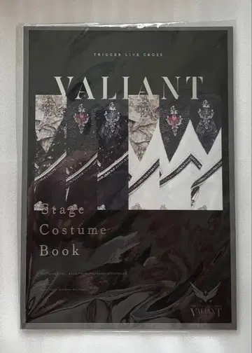 아이나나 TRIGGER VALIANT 코스튬 북