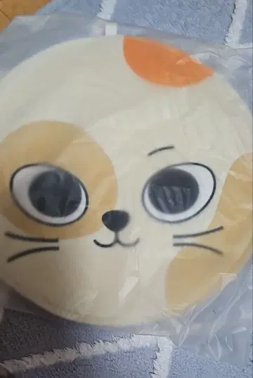 BOYNEXTDOOR 성호 부채 케이스 BBNEXDO