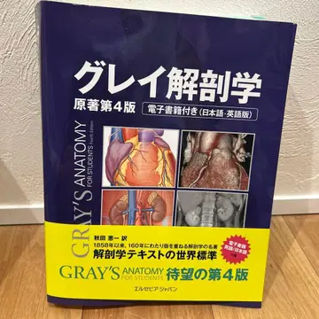 그레이 해부학