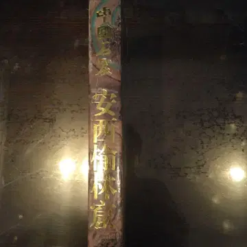 중국 석기 안서 육림굴