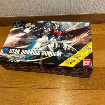 HG 스타버닝 건담