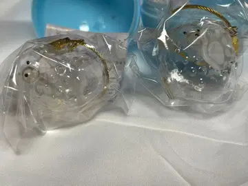 우리 아이 털뭉치 푸들 2개