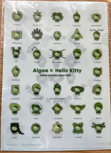 OASKA EXPO 오사카 만박 일본관 한정판 모 키티 클리어 파일