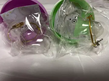 우리 아이 털뭉치 세모 늘어진 귀 네모 늘어진 귀