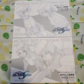 기동전사 건담 SEED HD 리마스터 아트북 2책 세트