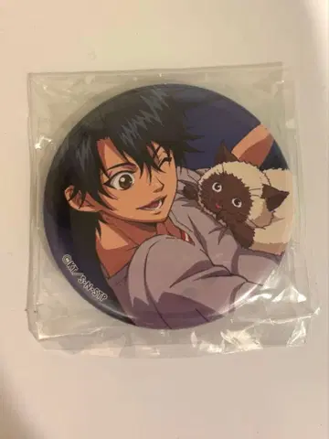 테니스의 왕자님 휴식 컬렉션 캔뱃지 에치젠 료마